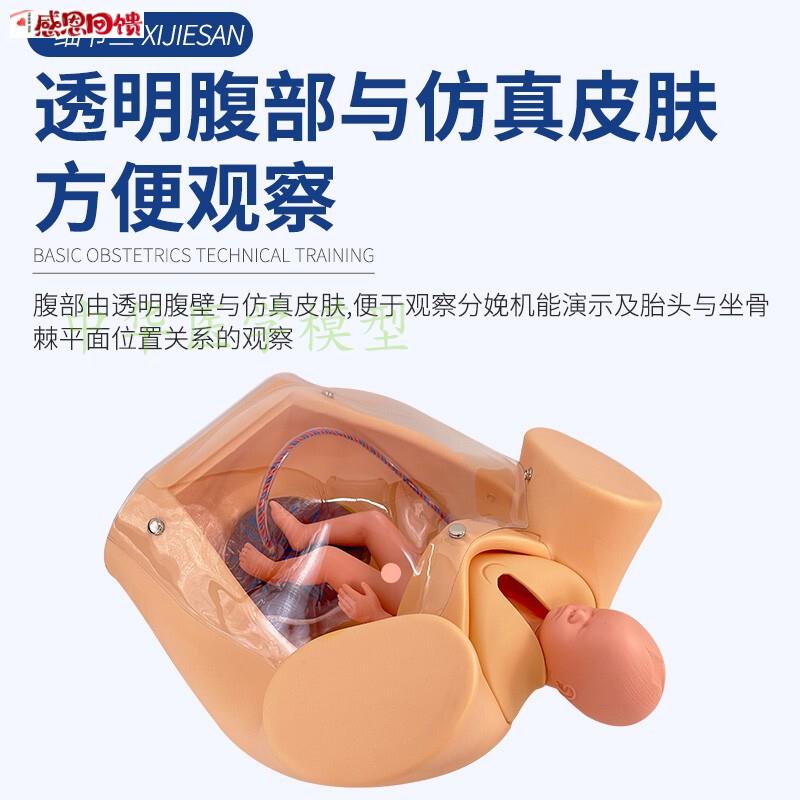 高级分娩u综合技能训练模型 分娩助产示教模型 分娩机制示教模