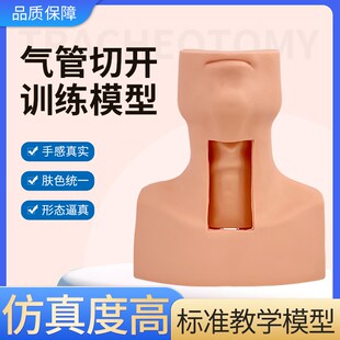 环状软骨气管切开j术训练模型 高级环甲膜穿刺及气管切开插管模型
