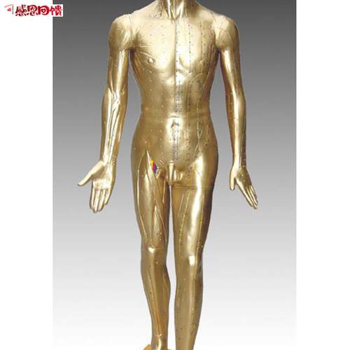 中医标准人体针灸铜人84CM(青铜色)练习假O人经络模具穴位橡皮
