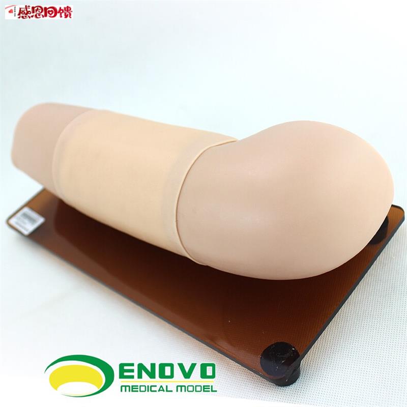 ENOVO正品皮下埋入避孕练习手臂模l型女性计生操作模型妇产科教