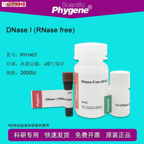 脱氧核糖核酸酶I DNase I-RNase free 2000U PH140k7 PHYGEN