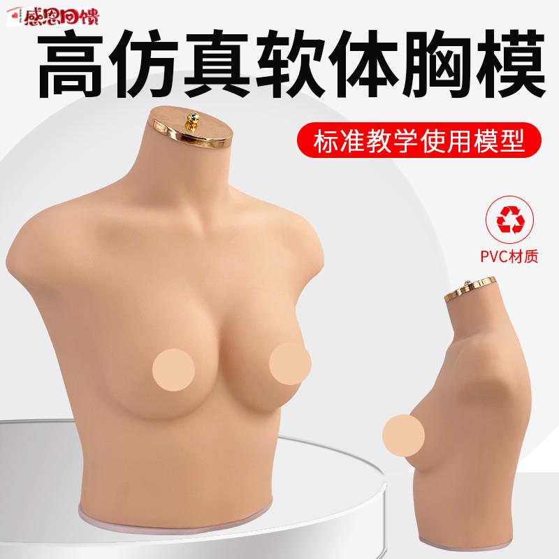 女半身胸模75B/C 软体r材质模型内衣文胸橱窗使用静态展示拍摄道