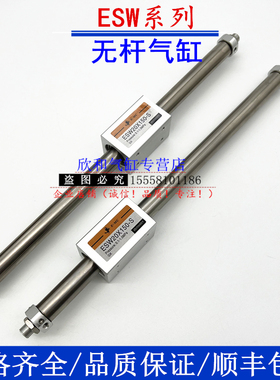 亿太诺无杆气缸ESW20X100X200X300X400X500X600X700X800X900LB/FA