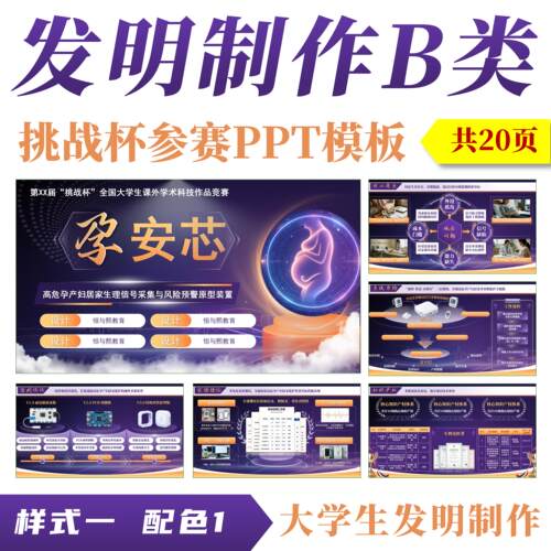 【样式二】大学生大挑战杯科技发明制作B类参赛比赛PPT模板