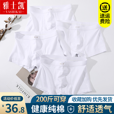 内裤男士纯棉平角裤底裤青年学生