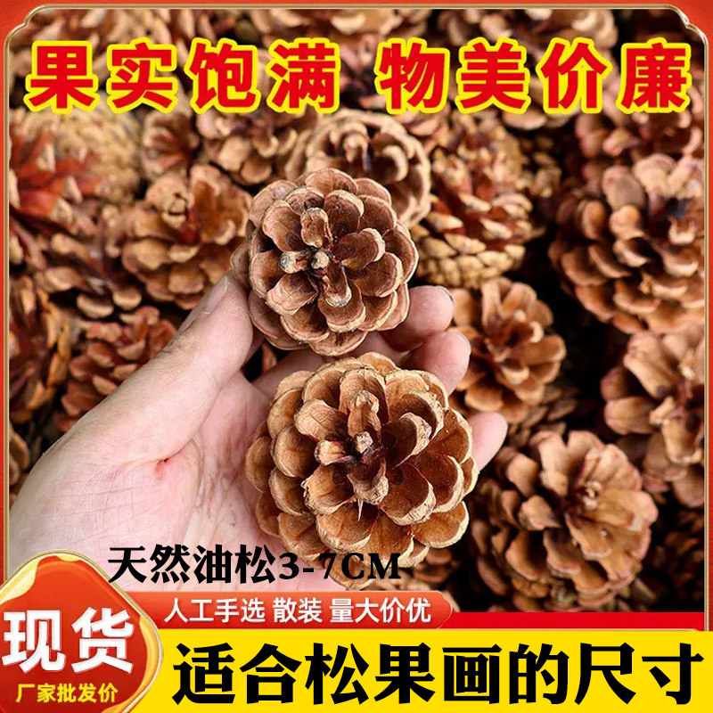 幼儿园diy圣诞节环创天然松果颜料手工制作材料3-7CM现货物美