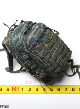 DAMTOYS 1/6 兵人 DAM 78052 雪豹突击队 队员 背包 人偶配件