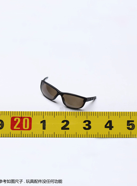 HT 终结者创世纪 阿诺 MMS307 施瓦辛格 T800 墨镜 眼镜 人偶配件