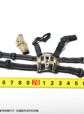 DAM DAMTOYS  78041 PMSCs 安全承包商 枪腿套 1/6人偶模型玩具