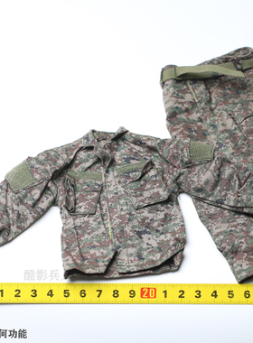 DAMTOYS  DAM 78058 俄罗斯内务部MVD 山猫 作战服 配件 人偶 1/6