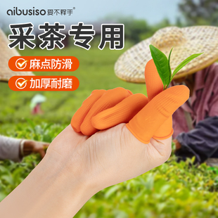 采茶专用手指套掐菜采茶叶手套工作摘茶神器小型一次性点钞手指套