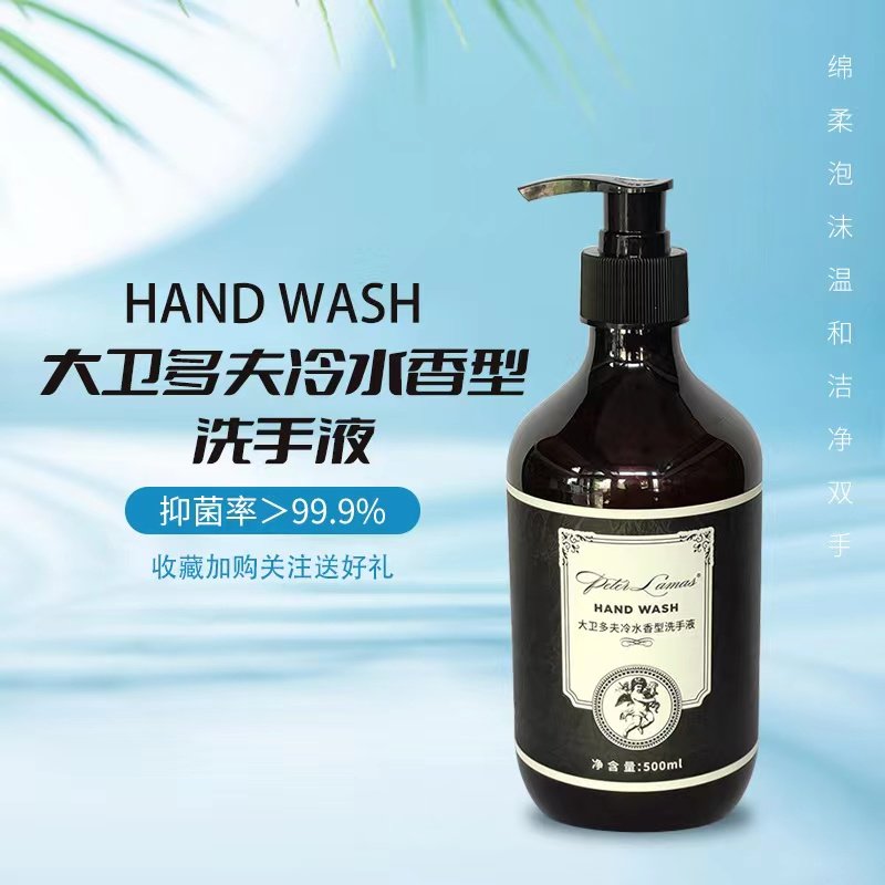 大卫多夫 洗手液500ML清洁除菌酒店家用护肤清香顺滑美白保湿香型,洗护清洁剂/卫生巾/纸/香薰,洗手液,淘宝优惠券,粉丝福利购,淘宝优惠卷