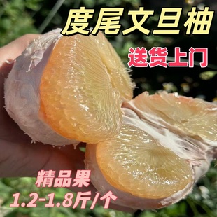 仙游度尾文旦柚清甜多汁孕妇当季新鲜水果现摘现发红肉白肉蜜柚