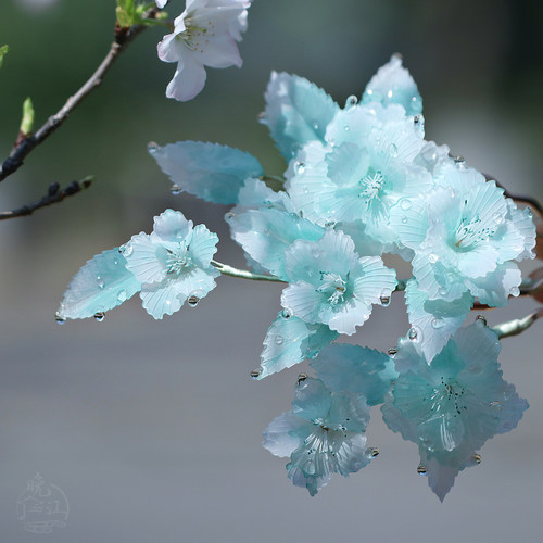 烟雨楼 热缩花簪汉服发饰全套手工发簪u型新中式古风发钗步摇盘发