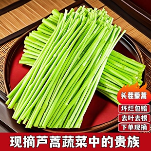 农家现摘新鲜芦蒿杆叶嫩茎蒌蒿柳叶蒿藜蒿鲜当季蔬菜鲜食用泥蒿