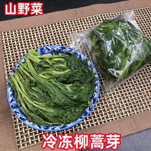 东北长白山野菜柳蒿芽新鲜水蒿1斤春季蘸酱菜炖鱼排骨限区包邮