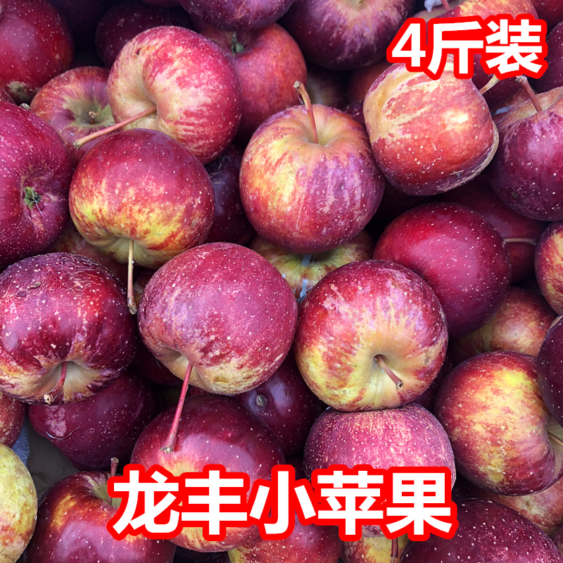 龙丰果嘎啦苹果儿大秋果新鲜4斤
