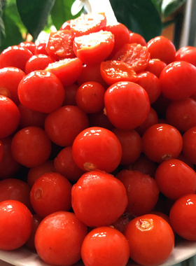 东北红姑娘锦灯笼果苦姑娘可泡蜂蜜无皮速冻鲜果儿每份4斤包邮