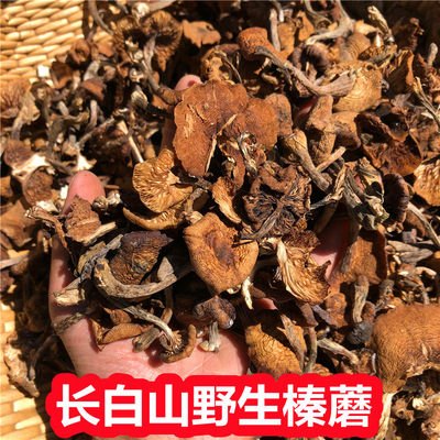 东北特产野生榛蘑500g蘑菇长白山