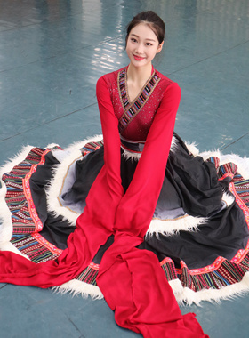 藏族舞艺考服女舞台演出考试大摆裙水袖