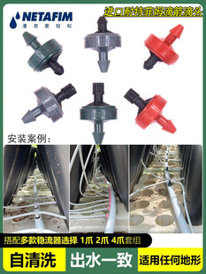 进口以色列耐特菲姆滴头一分四蓝莓滴箭套组阳台盆栽2L滴头稳压器