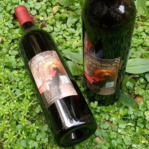 江山饴酒原浆甜糯米酒6年窖藏