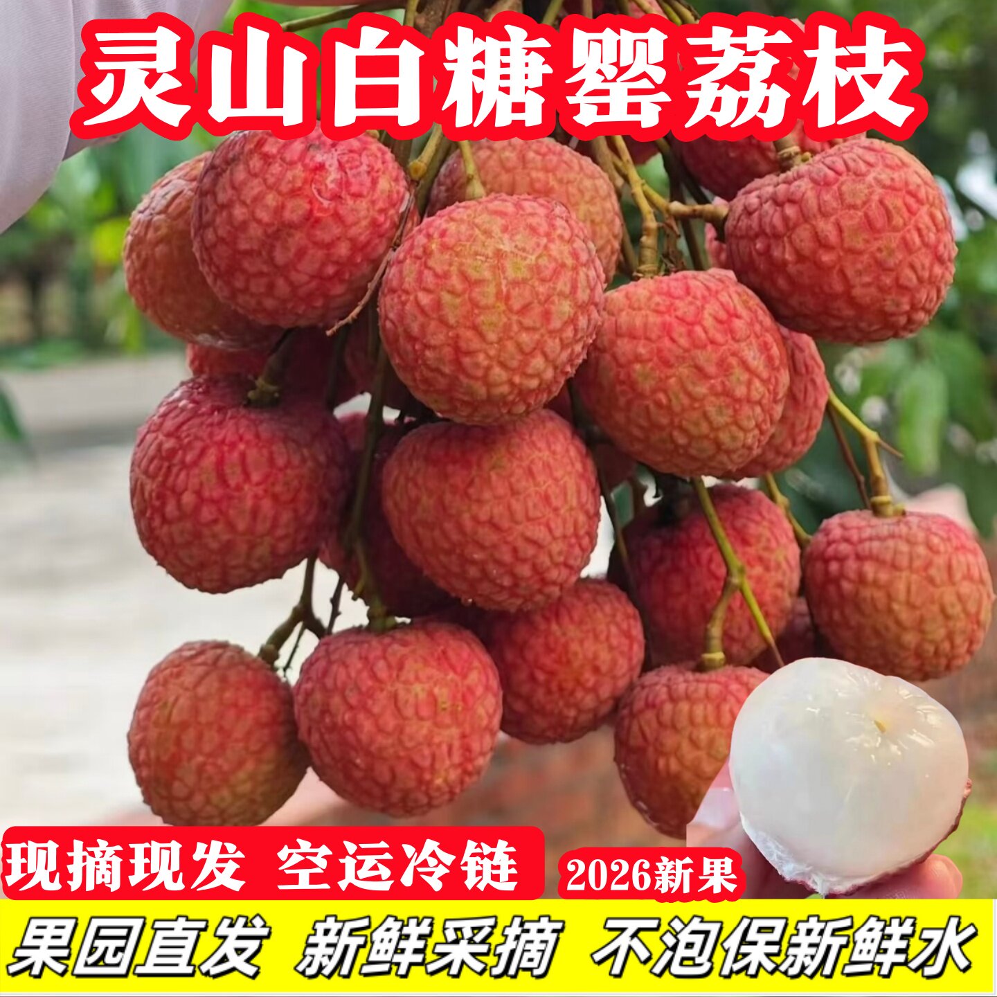 广西灵山白糖罂荔枝当季新鲜桂核小味水果妃子肉厚笑现摘现发包邮