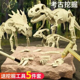 恐龙化石拼装模型考古挖掘玩具趣味手动挖掘霸王龙骨架3-12岁儿童