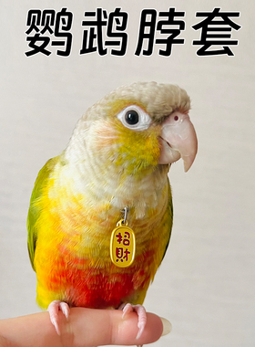 鹦鹉脖套链子鸟脖圈放飞绳吊坠外出带牵引绳小太阳牡丹玄凤鸟专用