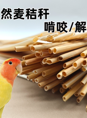 鹦鹉啃咬玩具天然麦秆麦秸秆磨牙磨爪解闷自嗨训练觅食插尾巴筑巢