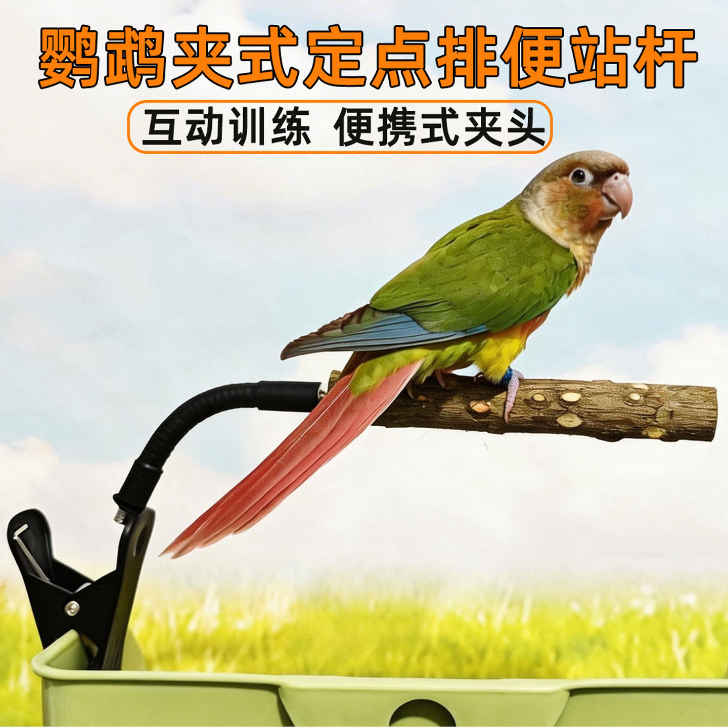 鹦鹉定点排便站架训练专用玄凤牡丹小太阳鸟用垃圾桶站杆马桶厕所