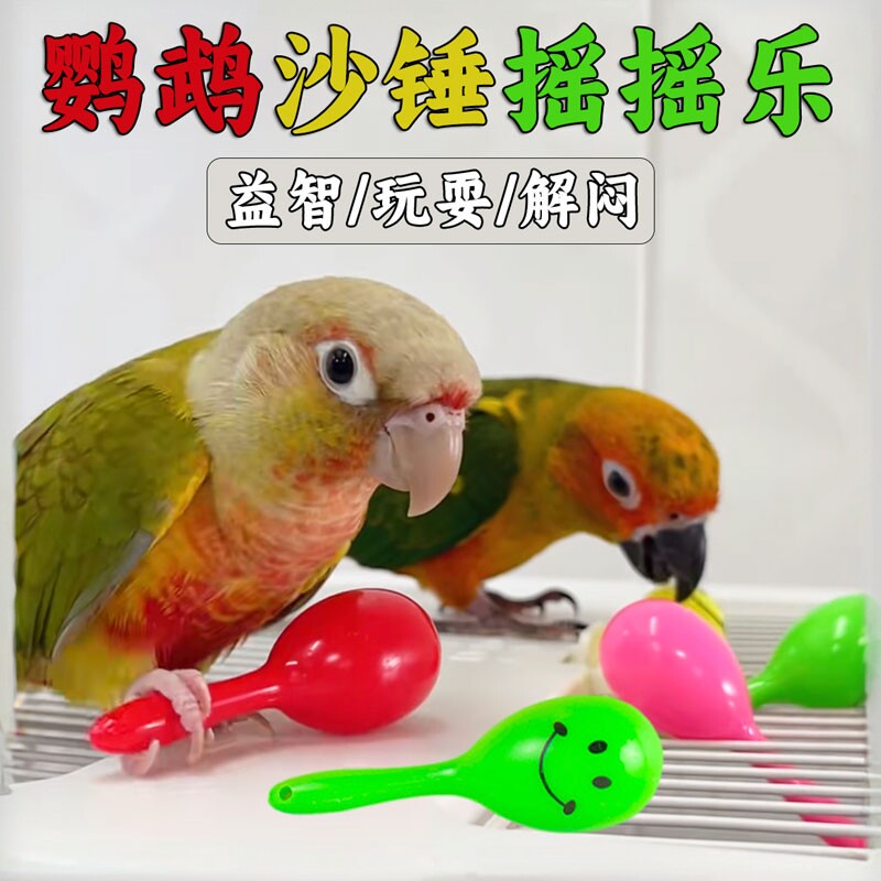 鹦鹉玩具小沙锤摇铃解闷益智训练图片