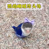 鹦鹉装 饰头戴蝴蝶结虎皮玄凤牡丹小太阳解闷自嗨拍照道具鸟用玩具