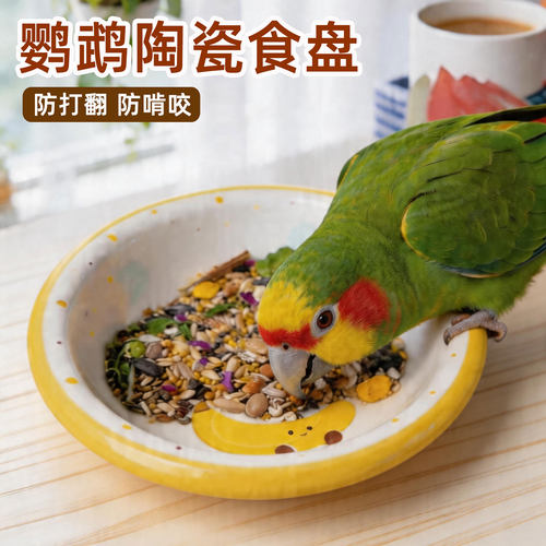 鹦鹉陶瓷食盘防溅防撒小太阳用品