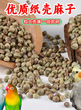 纸壳麻子鹦鹉粮大颗粒火麻子鸟粮玄凤牡丹和尚纸皮火麻籽奖励零食