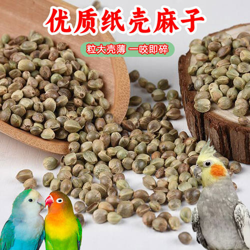 纸壳麻子鹦鹉粮大颗粒火麻子鸟粮