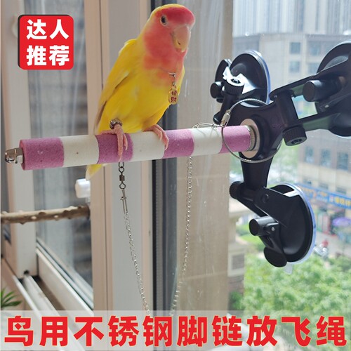 不锈钢鹦鹉放飞绳鹦鹉脚链脚环