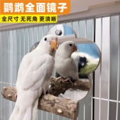 鹦鹉镜子花椒木站架玩具玄凤虎皮牡丹鸟笼站杆站杠鸟用镜子小站台