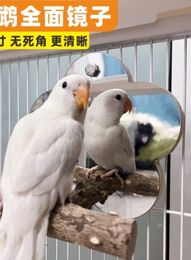 鹦鹉镜子花椒木站架玩具玄凤虎皮牡丹鸟笼站杆站杠小太阳镜子站台
