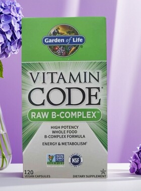 盒子挤压 美国原装进口 Garden of Life生命花园维生素B族120粒装