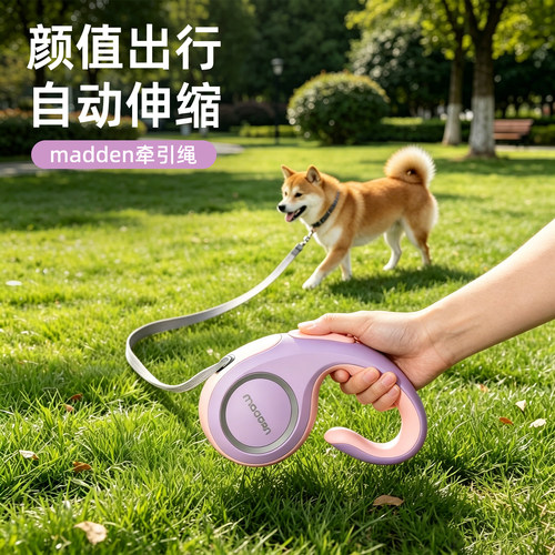狗狗自动伸缩牵引绳外出遛狗绳子