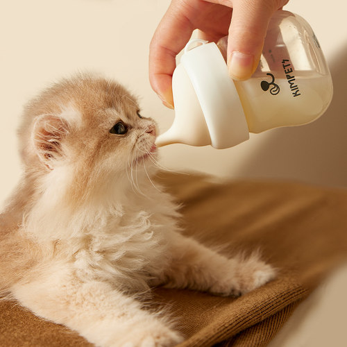 宠物奶瓶玻璃猫咪喝奶器小猫奶嘴