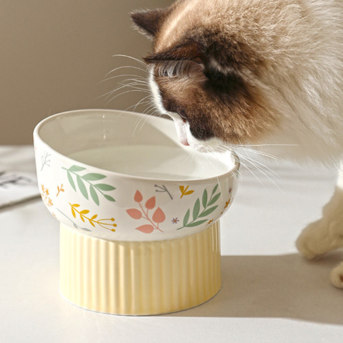 猫碗猫食盆陶瓷高脚猫咪斜口水碗