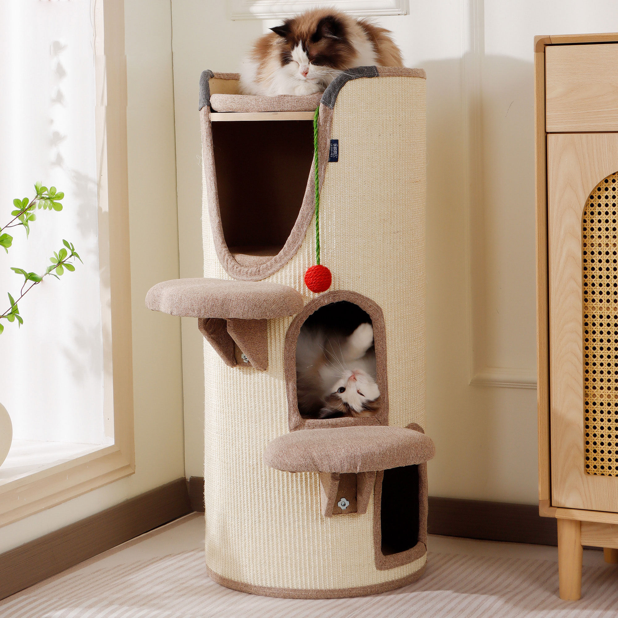 猫爬架猫窝一体剑麻桶多层猫咪树洞窝冬天双层猫抓板冬季保暖猫屋,宠物/宠物食品及用品,猫爬架,淘宝优惠券,粉丝福利购,淘宝优惠卷