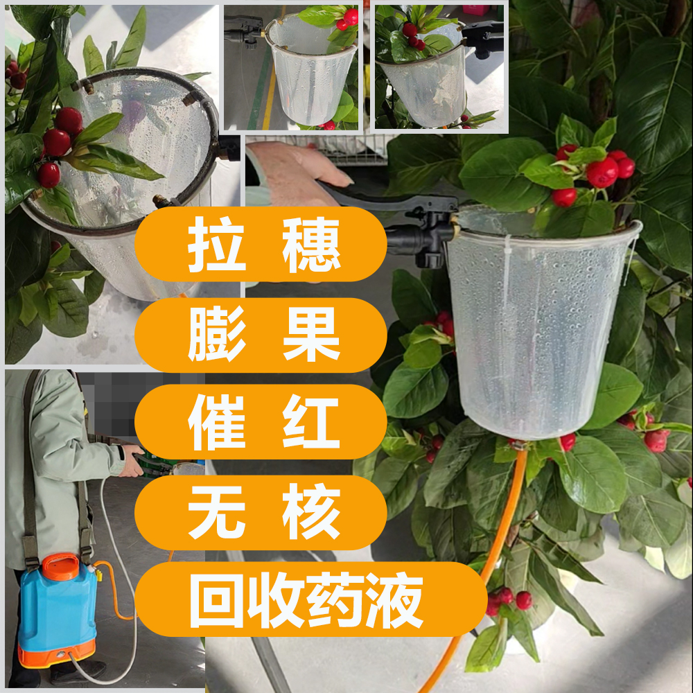 葡萄电动膨大神器回流催红