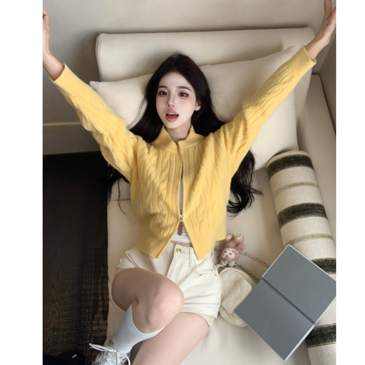 复古小众麻花针织衫上衣女秋冬新款时尚个性拉链长袖毛衣开衫外套