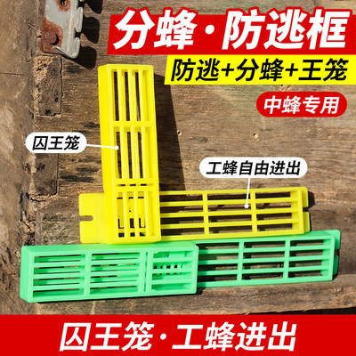 中蜂分蜂收王器防逃框多功能巢门除雄蜂带王笼防逃自动收王控制器