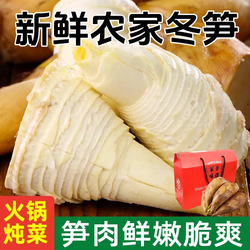 新鲜现挖冬笋毛竹笋楠竹笋野生农产品当季蔬菜鲜竹笋黄泥笋包邮