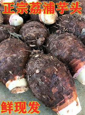 正宗广西桂林荔浦芋头新鲜绿色蔬菜毛芋槟榔香芋农家自种5斤包邮