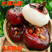 包邮 正宗广西荔浦马蹄荸荠地栗农家自种新鲜水果蔬菜大果5斤 9斤